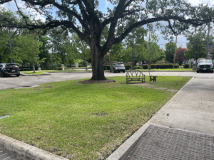 view of parking area and park with trees
