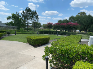 photo of the gardens at a treatment center in houston, tx, that offers motivational interviewing treatment