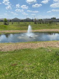 image of fountain in a big green field 